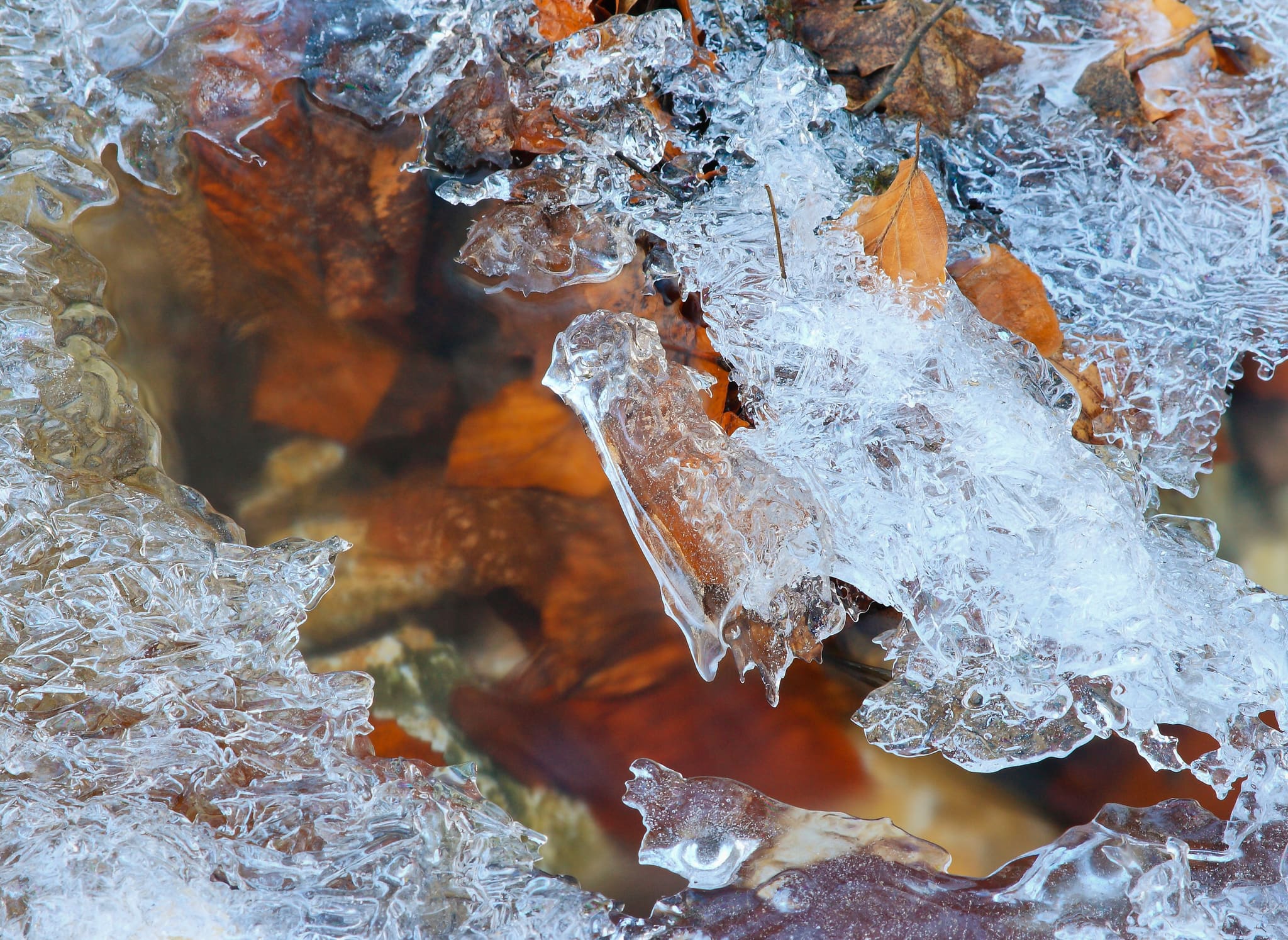 jeges formák a dera patakban