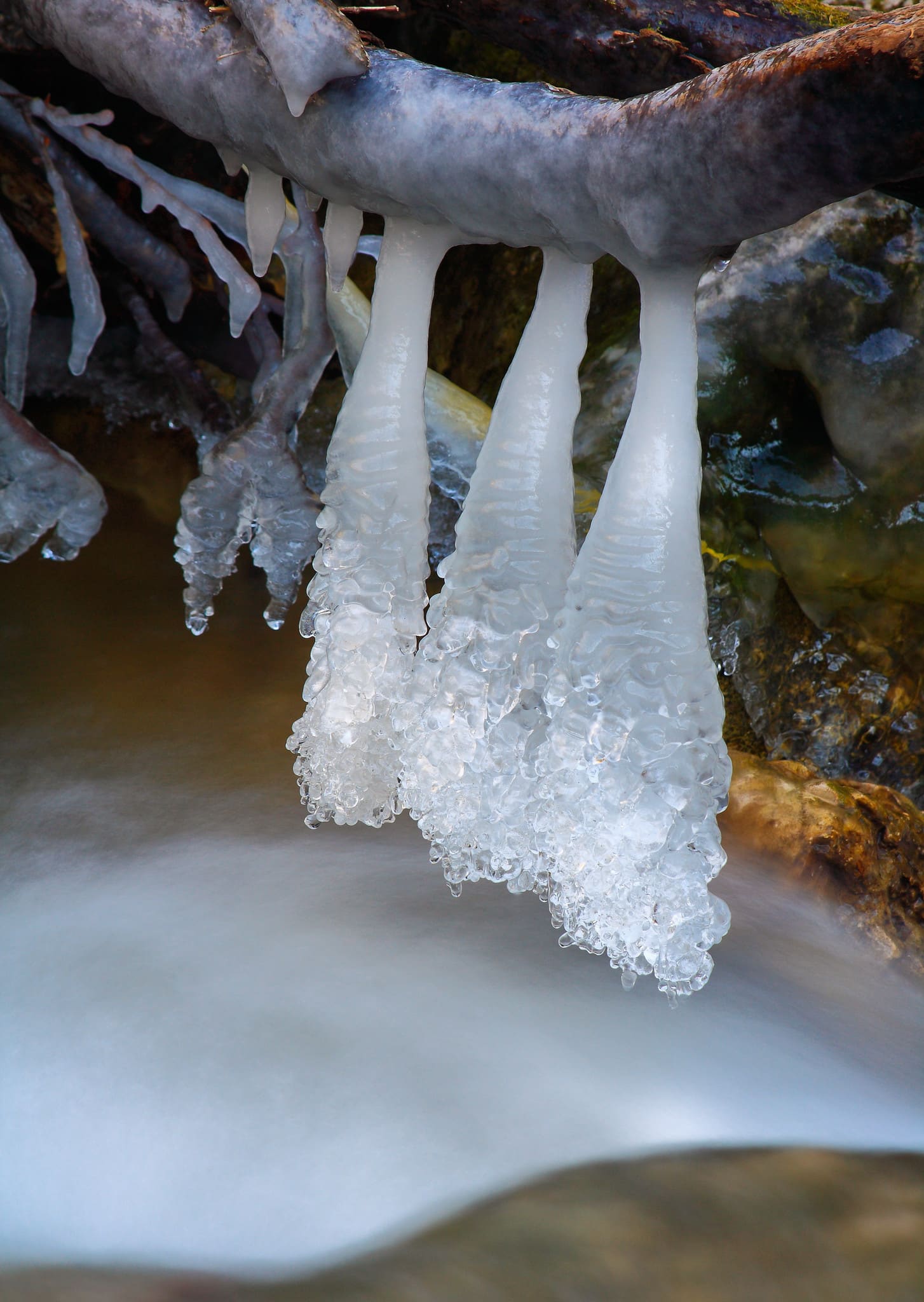 tőgy formájú jégcsapok a dera patak szurdokában