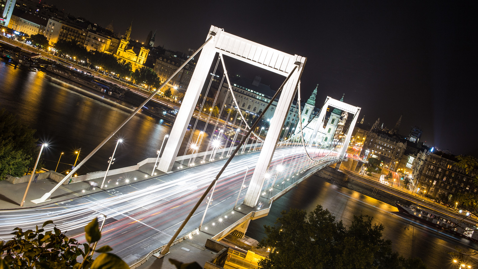 Elisabeth bridge in Budapest at night