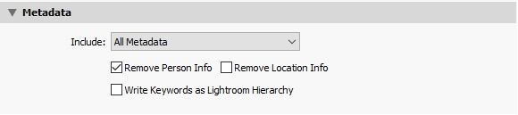 lightroom exportalas Metadata panel_2