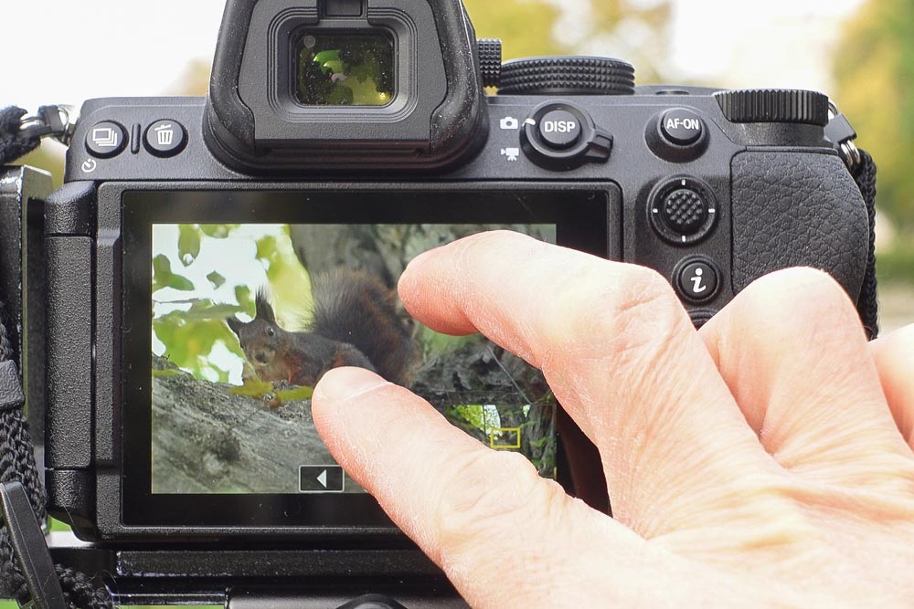 Nikon Z5 II belenagyítás a fotóba, hogy meg tudjam gyorsan vágni