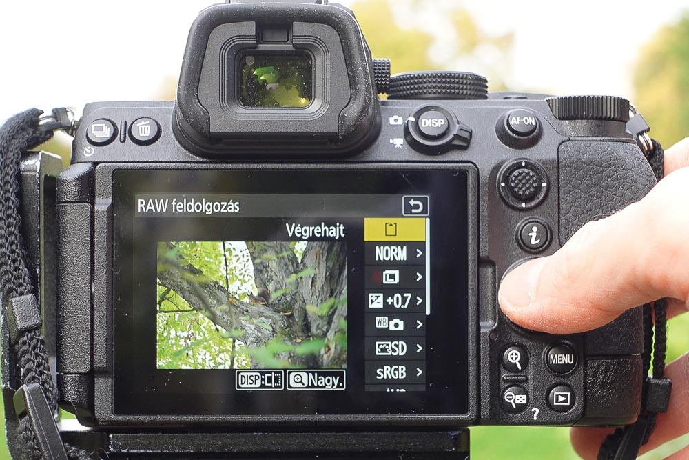 Nikon Z5 II raw foto feldolgozása szerkesztés vázon belül